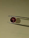Натуральний Гранат Родоліт 1.36Ct. 6.25 x 6.7 x 4.16mm, фото 3
