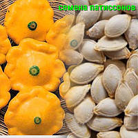 Насіння патисонів