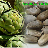 Насіння артишоку