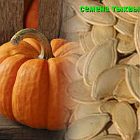 Насіння гарбуза