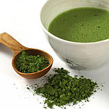 Матча Судзіока зелена класична фасована, 100 г, фото 2