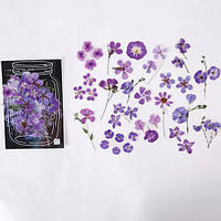 Наклейки для скрапбукінгу Finding Тематика квітів Стікери Коробка 40 штук 14 cm x 9.5 cm