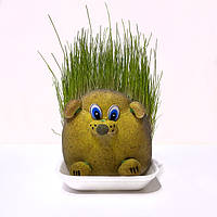 Травянчики