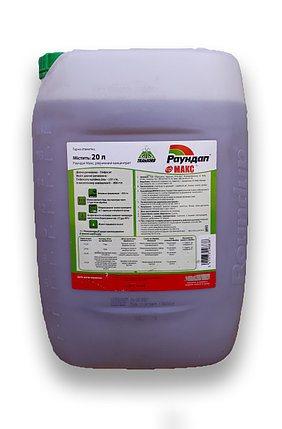 Раундап Макс, РК - 20 л (ID#1579053029), цена: 10000 ₴, купить на Prom.ua