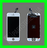 iPhone 5S