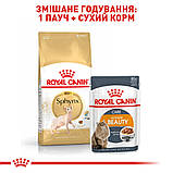 Корм сухой Royal Canin для взрослых кошек породы сфинкс Sphynx Adult 2 kg, фото 6