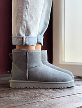 Жіночі UGG Low (gray) , жіночому уггі, сірі жіночому уггі низькі, зимові жіночі уггі (Репліка ААА)