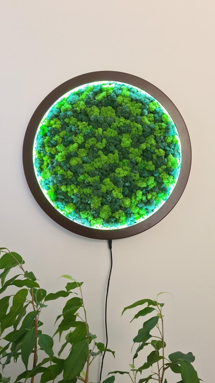 Декоративне панно з стабілізованою мохом і підсвічуванням "Green melody"