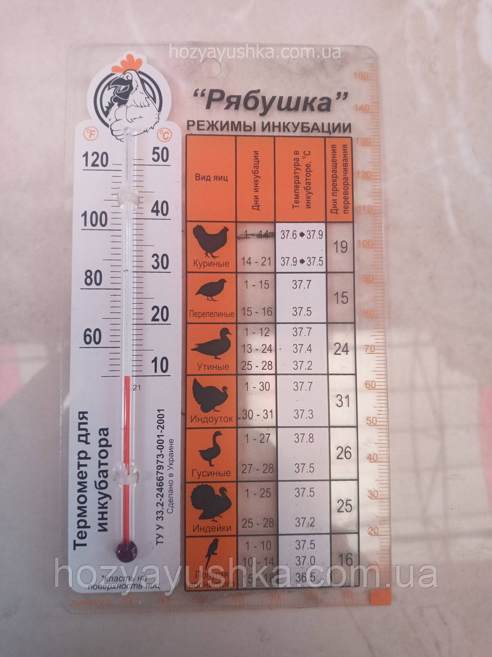 Градусник (термометр) для інкубатора рябушка, фото 1