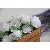 Троянда бутон "Іден" біла упаковка 100 шт.