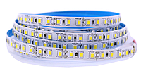 Светодиодная лента LEDTech smd 2835 120led/м 12v ip20 холодный белый (8000К) премиум на синем термоскотче