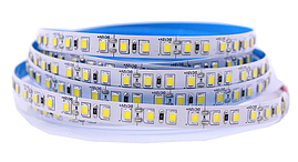 Світлодіодна стрічка LEDTech smd 2835 120led/м 12v ip20 холодний білий (8000К) преміум на синьому термоскотчі