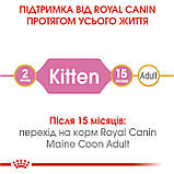 Корм сухий Royal Canin для кошенят породи мейн-кун Maine Coon Kitten 400 g, фото 3