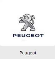 Вії на фари Peugeot