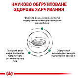 Корм сухий Royal Canin для собак при цукровому діабеті DIABETIC 1.5 kg, фото 3