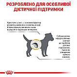 Корм сухий Royal Canin для собак при захворюваннях нижніх сечовивідних шляхів URINARY S/O SMALL DOG 1.5 kg, фото 3