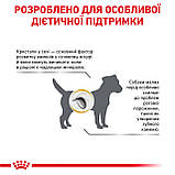 Корм сухий Royal Canin для собак при захворюваннях нижніх сечовивідних шляхів URINARY S/O SMALL DOG 1.5 kg, фото 3