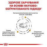 Корм сухий Royal Canin для собак при захворюваннях нижніх сечовивідних шляхів URINARY S/O SMALL DOG 1.5 kg, фото 4