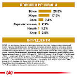 Корм сухий Royal Canin для собак при захворюваннях нижніх сечовивідних шляхів URINARY S/O SMALL DOG 1.5 kg, фото 7