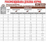 Корм сухий Royal Canin для собак при розладах травлення Gastrointestinal 2 kg, фото 4