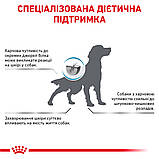 Корм сухий Royal Canin для собак при небажаній реакції на корм ANALLERGENIC 3 kg, фото 2