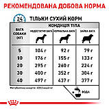 Корм сухий Royal Canin для собак при небажаній реакції на корм ANALLERGENIC 3 kg, фото 5