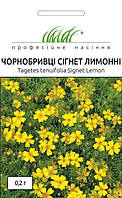 Чорнобривці Сігнет 0,2г. Нідерланди