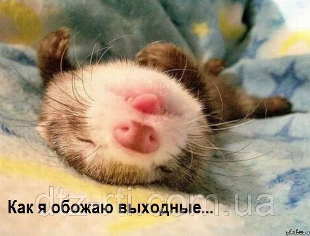 Графік роботи на 8 березня