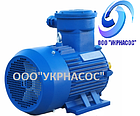 Електродвигун вибухозахищений АИМ180S4 22 кВт 1500 об./хв, фото 3