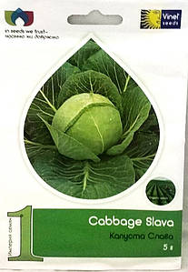 Насіння білоголової капусти Славія 5г Vinel seeds