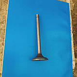 Клапан впускний Д21, Т25 СРСР, фото 2