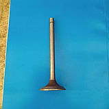 Клапан впускний Д21, Т25 СРСР, фото 3