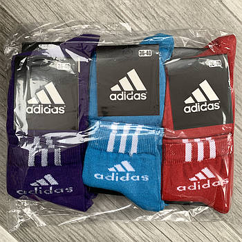 Шкарпетки жіночі демісезонні спортивні х/б Adidas, Athletic Sports, кольорове асорті, середні, 06108