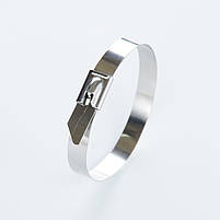 Хомут металевий 4,5х370 (100 шт) (універсальний) APRO, фото 2