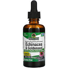 Ехінацея та жовтокорін Nature's Answer "Echinacea&Goldenseal" без спирту, 1000 мг (60 мл)