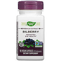 Экстракт ягод черники Nature's Way "Bilberry" 205 мг (90 капсул)