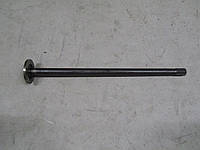 Піввісь Богдан