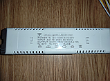 No164 Драйвер 160W + пульт + APP + SK (220V) Driver для світлодіодних люстр 24-40Wx4 (4x2pin), фото 5