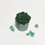 Стабілізований мох в кольоровому бетонному кашпо, блакитний/бірюзовий, фото 3