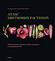 Атлас цветковых растений. 200 ботанических семейств в необычных ракурсах и мельчайших деталях. Ингеборг Нислер