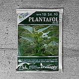 Добриво Плантафол для цвітіння і бутонізації 25 г NPK 10-54-10, фото 3