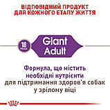 Корм сухий Royal Canin для дорослих собак гігантських порід Giant Adult 15 kg, фото 3