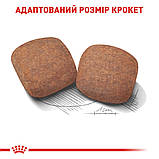 Корм сухий Royal Canin для дорослих собак гігантських порід Giant Adult 15 kg, фото 6