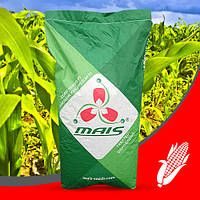 Среднеспелый гибрид кукурузы ДМС Сектор (ФАО 330)