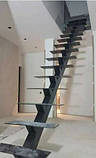 Сходи для дому відкриті на монокосоурі, фото 6