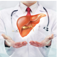 Здоров'я нирок і печінки