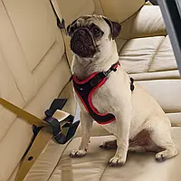 Ремінь безпеки для собак DOG TRAVEL BELT