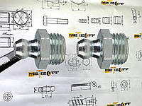 Пресс-масленок прямой М10х1 DIN 71412 "А"