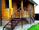 Двосторонній ганок з навісом та поручнями, фото 2