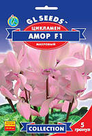 Семена Цикламен Амор F1 5 шт, GL SEEDS